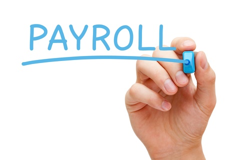 Why payroll functions & procedures are important for organization?